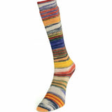 Laines du Nord Eclectic Sock