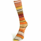 Laines du Nord Eclectic Sock