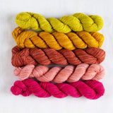 Manos del Uruguay Fino Mini Skein Sets