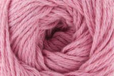Universal Clean Cotton Solids