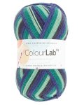 West Yorkshire Spinners Colourlab DK