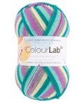 West Yorkshire Spinners Colourlab DK