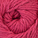 Universal Clean Cotton Solids