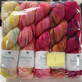 Baah Yarn Sonoma packs of 5
