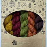 Manos del Uruguay Fino Mini Skein Sets