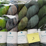 Baah Yarn Sonoma packs of 5