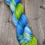 Keenan Hand Dyed Sock Yarn