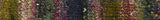 Noro Akeboshi