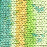 KFI Indulgence Organic Sock 4ply