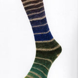Laines du Nord Nordik Socks