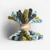 Blue Sky Fibers Woolstok Bundle Kits