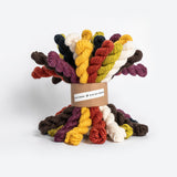Blue Sky Fibers Woolstok Bundle Kits