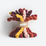 Blue Sky Fibers Woolstok Bundle Kits