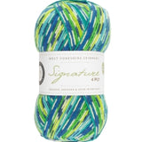 West Yorkshire Spinners Signature 4ply sock yarn